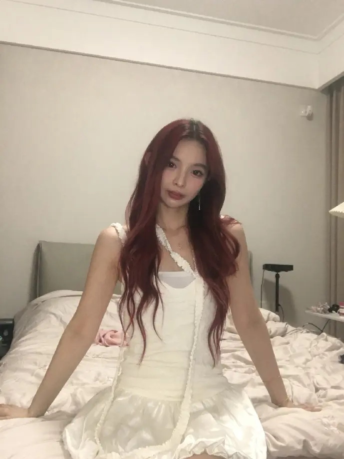 京东电子书下载界面